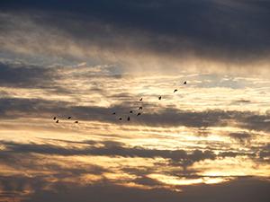 Cover image for Let Go Of Tension